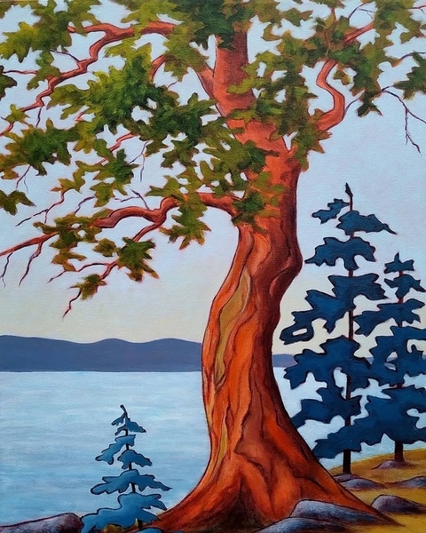 Ancient Arbutus - SOLD