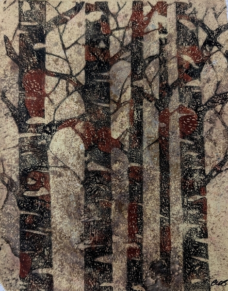 Birch Trees