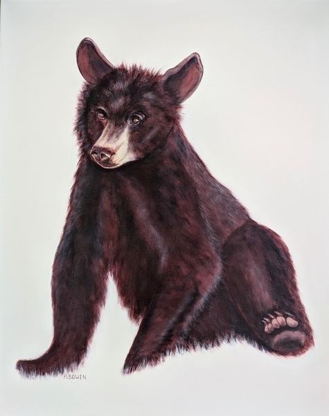 Little Bear