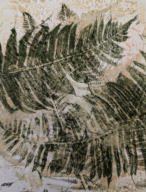 Sword Ferns