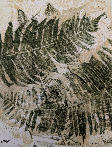 Sword Ferns